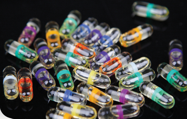 NJYF-300C 无盖0油胶囊灌装机